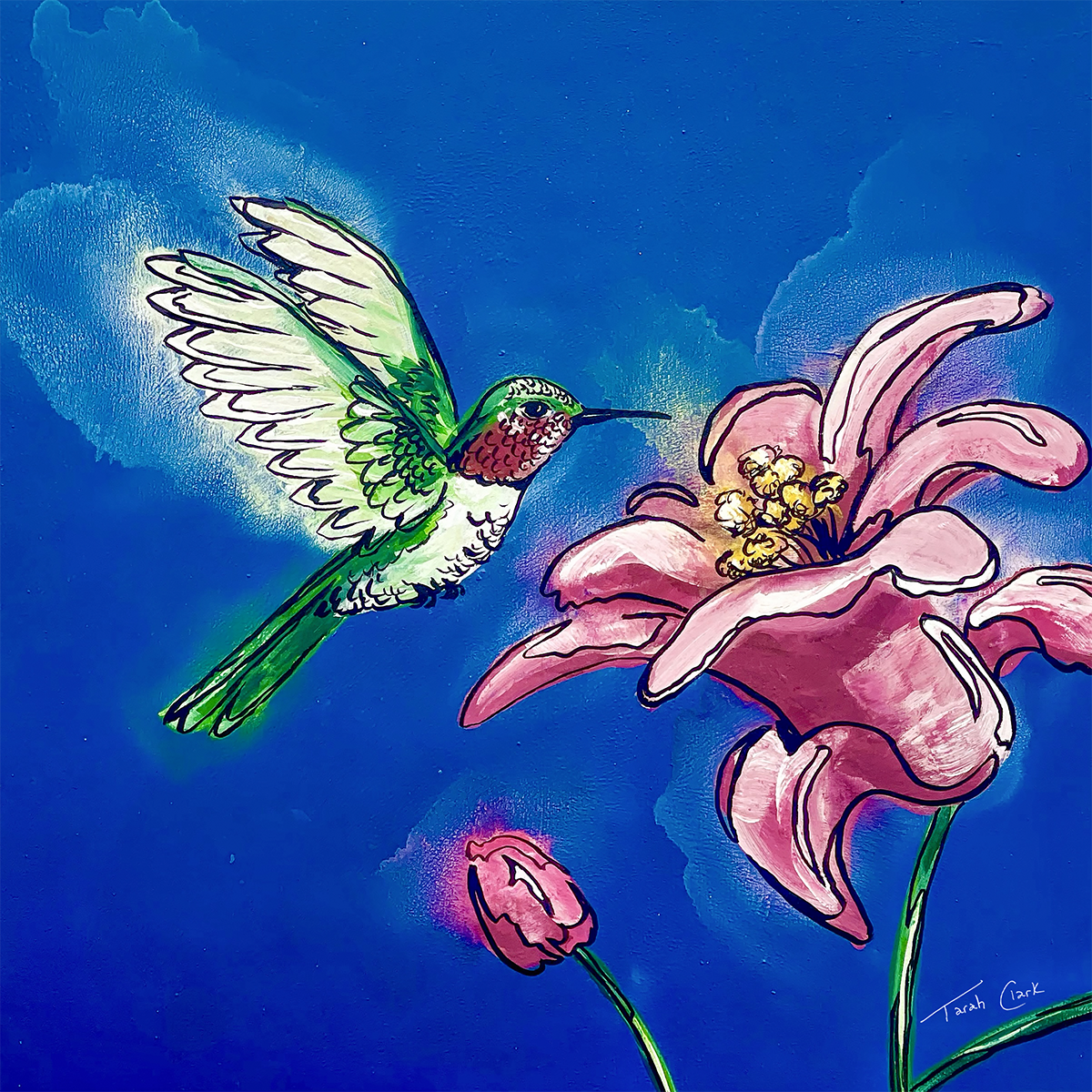 Prints - Hummingbird