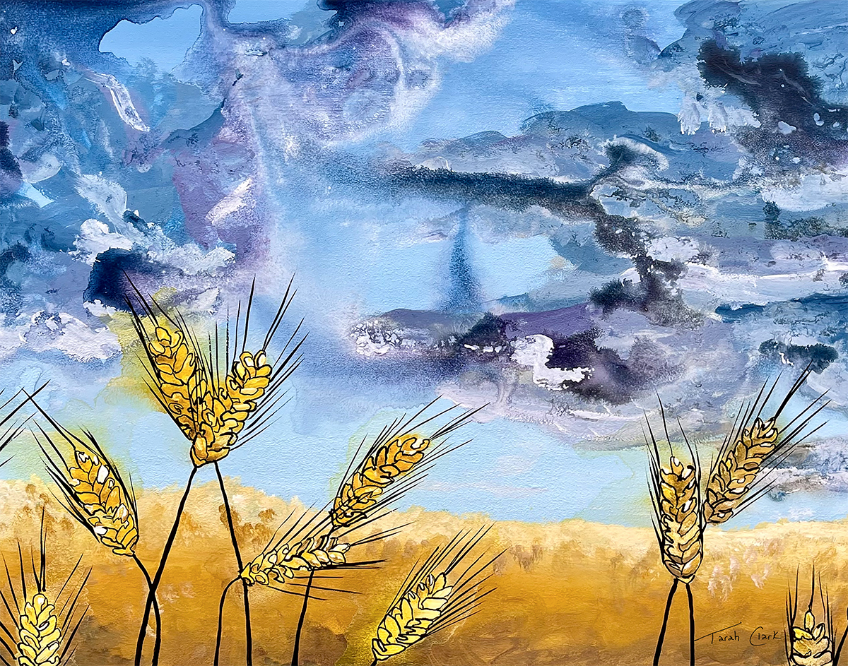 Prints - Wheat-field