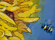 Cards - Bee