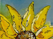 Cards - Sunflower